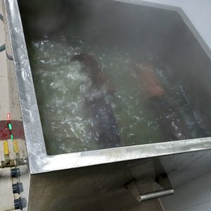 Nhiet-do-luoc-banh-chung