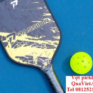 Vot-pickleball-passion-hybrid-h102-3-423x311c