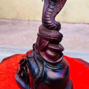 Tuong-ran-phong-thuy-go-trac-cao-31-ngang-19-sau-14-cm-2_2_11zon