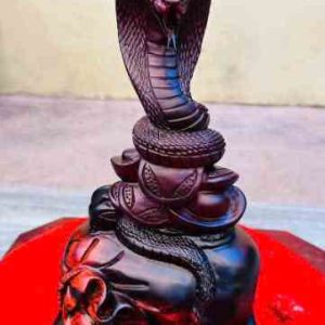 Tuong-ran-phong-thuy-go-trac-cao-31-ngang-19-sau-14-cm-3_3_11zon