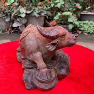 Z5341025232645_8056df533c677852cd9106c1f7698c8d_16c712f8782d41c1b87a8f10937a75e2_grande